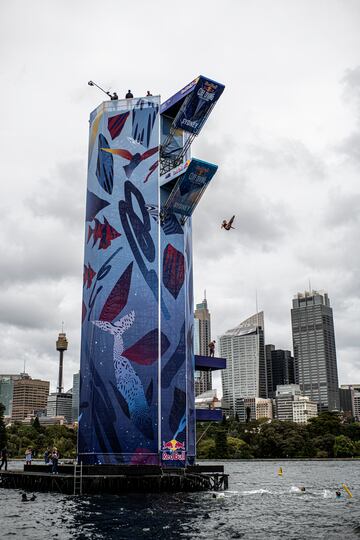 Las Red Bull Cliff Diving World Series
son un circuito internacional anual de competiciones de saltos de gran altura. Esta vez se está desarrollando en Sidney.