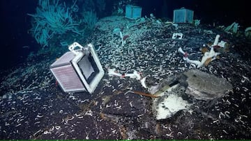 Scientists uncover a hidden underwater cave system teeming with giant creatures unlike anything we've seen.