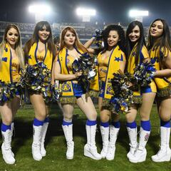 Así se vivió el Color del Tigres vs América