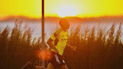 Guerrero vuelve a las canchas