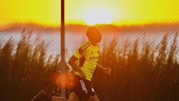 Guerrero vuelve a las canchas