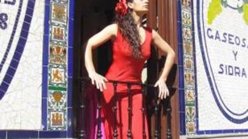 "El flamenco es la imagen que damos en el exterior"