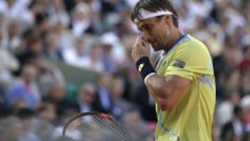 David Ferrer: "He puesto todo lo que estaba en mi mano"