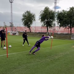 La Fiorentina busca refugio en el Sevilla