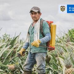 Expropiación express en Colombia: ¿Qué significa esto en el Plan Nacional de Desarrollo?