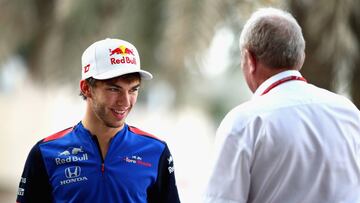 Marko con Gasly, su piloto estrella de Toro Rosso.