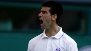 Djokovic pasa a octavos tras superar a un gran Baghdatis