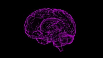 Dos chips en el cerebro para escribir con la mente