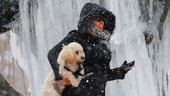 Get your pup ready for the freezing cold: These are some crucial winter safety tips for dogs according to experts