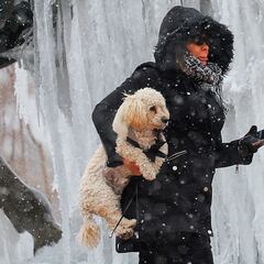 Get your pup ready for the freezing cold: These are some crucial winter safety tips for dogs according to experts