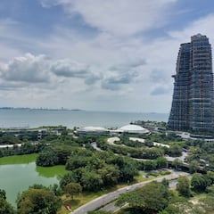 The ghost town with abandoned skyscrapers and crocodiles: $100 billion down the drain