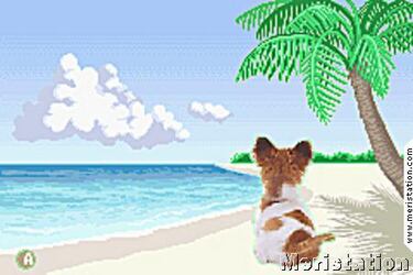 Anunciado oficialmente Pocket Dogs