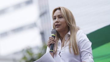 Sandra Ortiz renunció a la Consejería de Regiones: motivos y posible sustituto