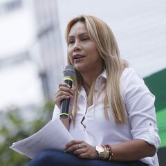 Sandra Ortiz renunció a la Consejería de Regiones: motivos y posible sustituto