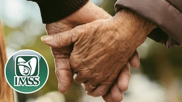 Los pensionados del IMSS cobrarán su próximo pago el miércoles 1 de octubre del 2025.