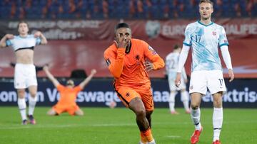 Bergwijn celebra el primer gol de Pa&iacute;ses Bajos ante Noruega.