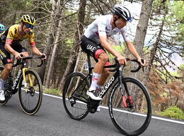 Juan Ayuso y Roglic.