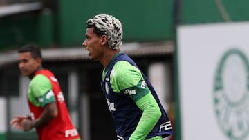 Richard Ríos y su futuro en Palmeiras