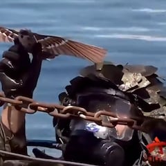 This is how China is trying to revolutionize espionage: Check out these drones disguised as birds