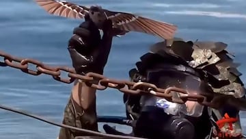 It’s a bird… no it’s a drone