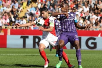 Falcoa x Toulouse