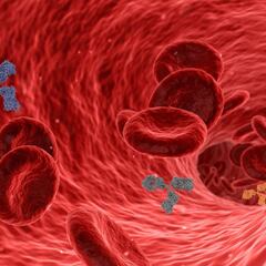 Qué son los anticuerpos falsos y en qué perjudican si tienes COVID