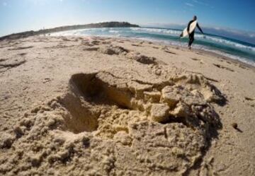 Un dispositivo integrado en las tablas de surf intenta evitar que muchas playas australianas queden desiertas debido a los continuos ataques de tiburones.