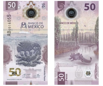 Así es el “ajolotito”: el billete que puede llegar a valer miles de pesos