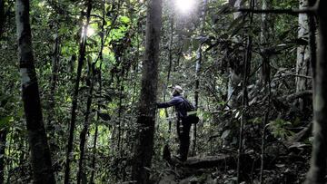 El Día Mundial del Medio Ambiente pide "Conectar a las personas con la naturaleza".