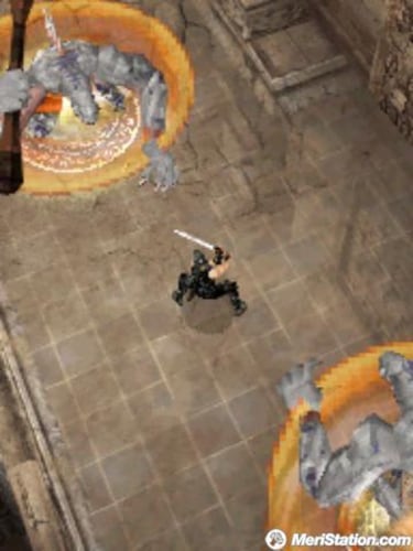 Ninja Gaiden Dragon Sword, Impresiones