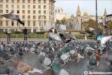 La cacería de Monster Hunter Tri llega a Madrid y Barcelona