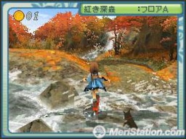 Riz Zoawd, Impresiones