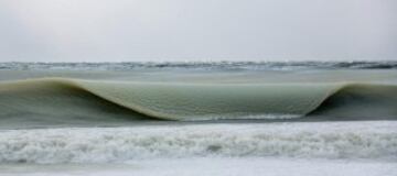 Preciosas olas casi congeladas