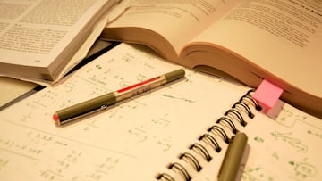 Saca su primer 10 en la universidad y el método que utilizó quizá no es el más académico