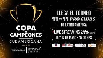 Copa de Campeones Sudamericana copará la agenda Gamer esta semana