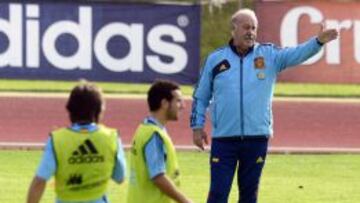 El seleccionador espa&ntilde;ol, Vicente del Bosque, dirigiendo un entrenamiento.