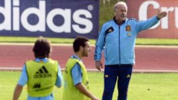 El seleccionador espa&ntilde;ol, Vicente del Bosque, dirigiendo un entrenamiento.