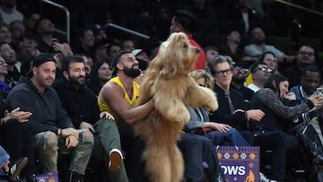 A service dog named Brodie was in attendance at the Lakers game against the Knicks, wearing an Austin Reeves jersey and looking extra adorable.