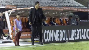 ¡Oro puro! Así es Gallardo en un partido de Copa Libertadores