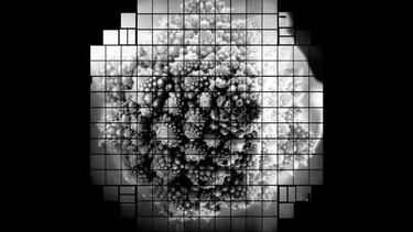 Capturan la primera fotografía digital de 3200 megapíxeles del mundo