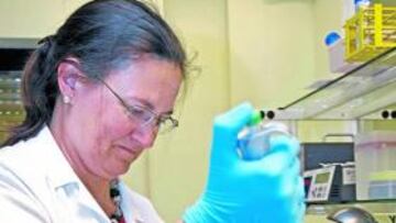 En España no se harán controles de noche.