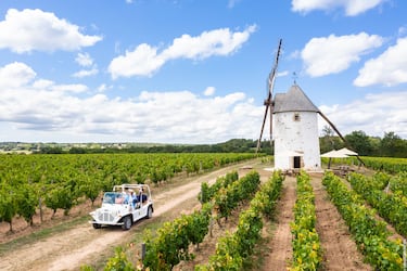 Viñedos de Jasnières y Fiefs Vendéens: tesoros ocultos para el paladar y los sentidos
