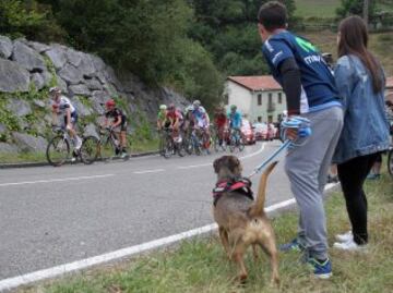 El pelot¨®n durante la novena etapa de la Vuelta Ciclista a Espa?a.