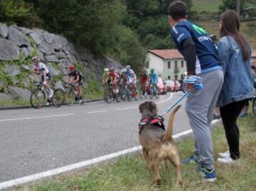 El pelotón durante la novena etapa de la Vuelta Ciclista a España.