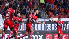 Xolos ladra y ‘come’ gallina