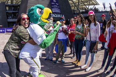 La búsqueda de los fans más apasionados: #GWMPowerFans revoluciona el béisbol en TikTok