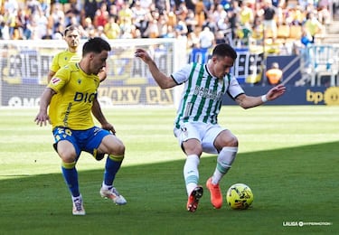 Bri, una apuesta de largo recorrido