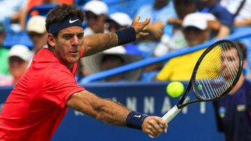 THM06 MASON (ESTADOS UNIDOS), 17/08/2017.- El argentino Juan Martin del Potro devuelve una bola al búlgaro Grigor Dimitrov durante su partido de octavos del torneo de tenis WTA de Cincinnati en Ohio, estados Unidos, ayer, 16 de agosto de 2017. EFE/