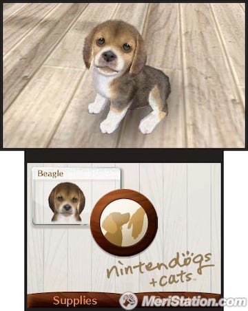 Captura de pantalla - 3ds_nintendogs_01ss01_e3.jpg