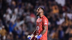 Querétaro (1-0) Tigres: Goles, resumen y resultado